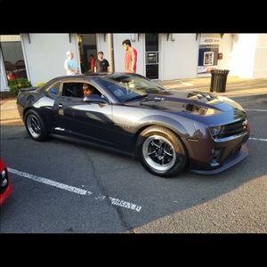 Meet your Posher, Shelton